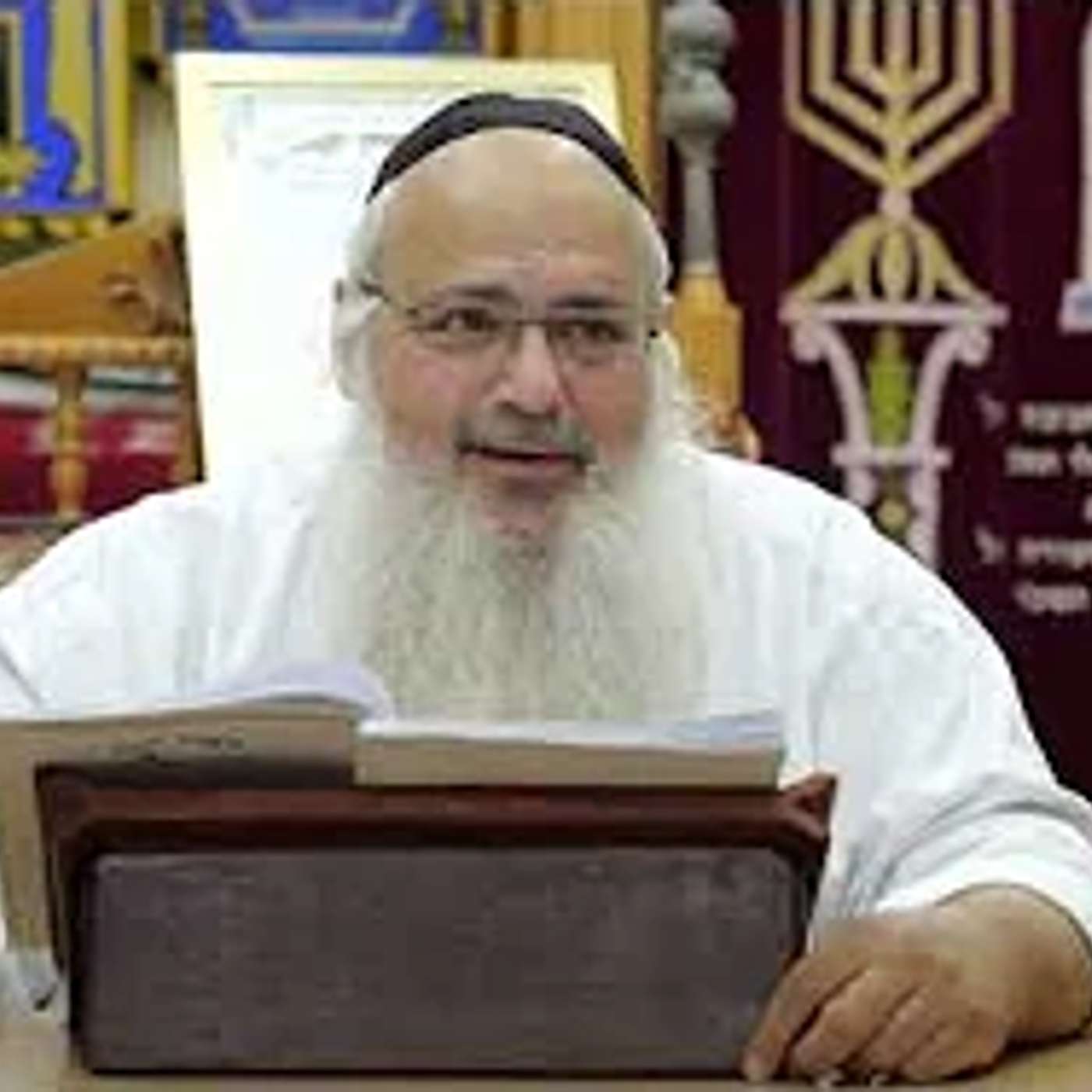 הרב שלמה לוינשטיין  | ענייני בין במצרים |פרשת מטות מסעי episode artwork