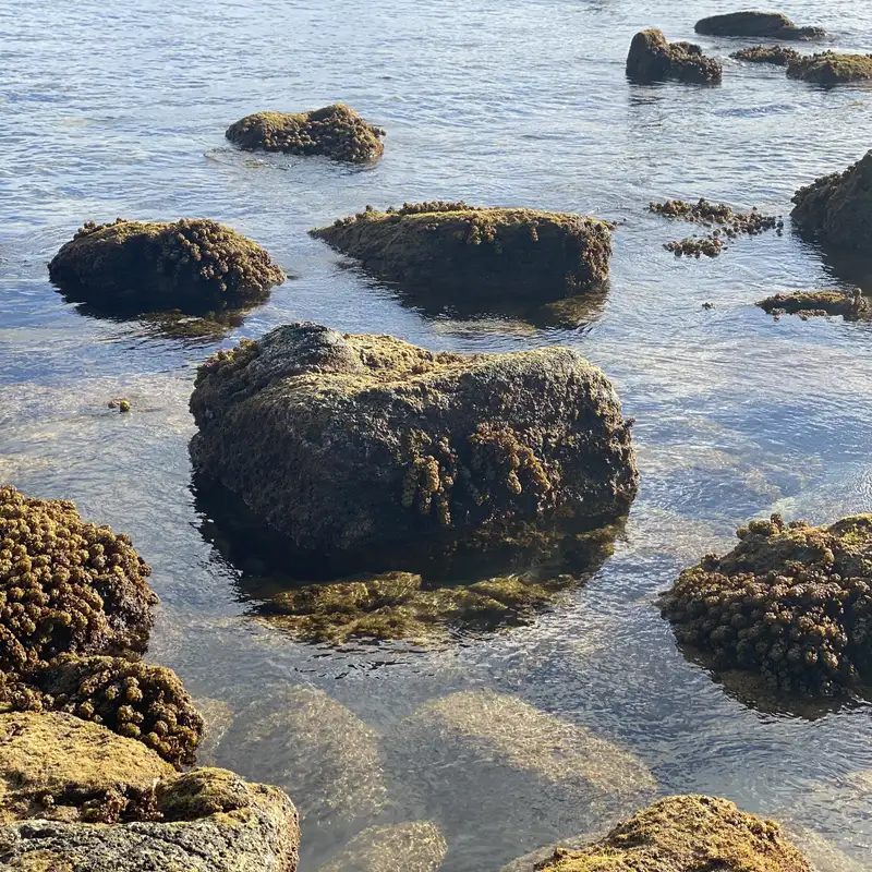 Neville Goddard’s Rebellion: Mystic Secrets to Smash Illusions or Madman’s Delusion?