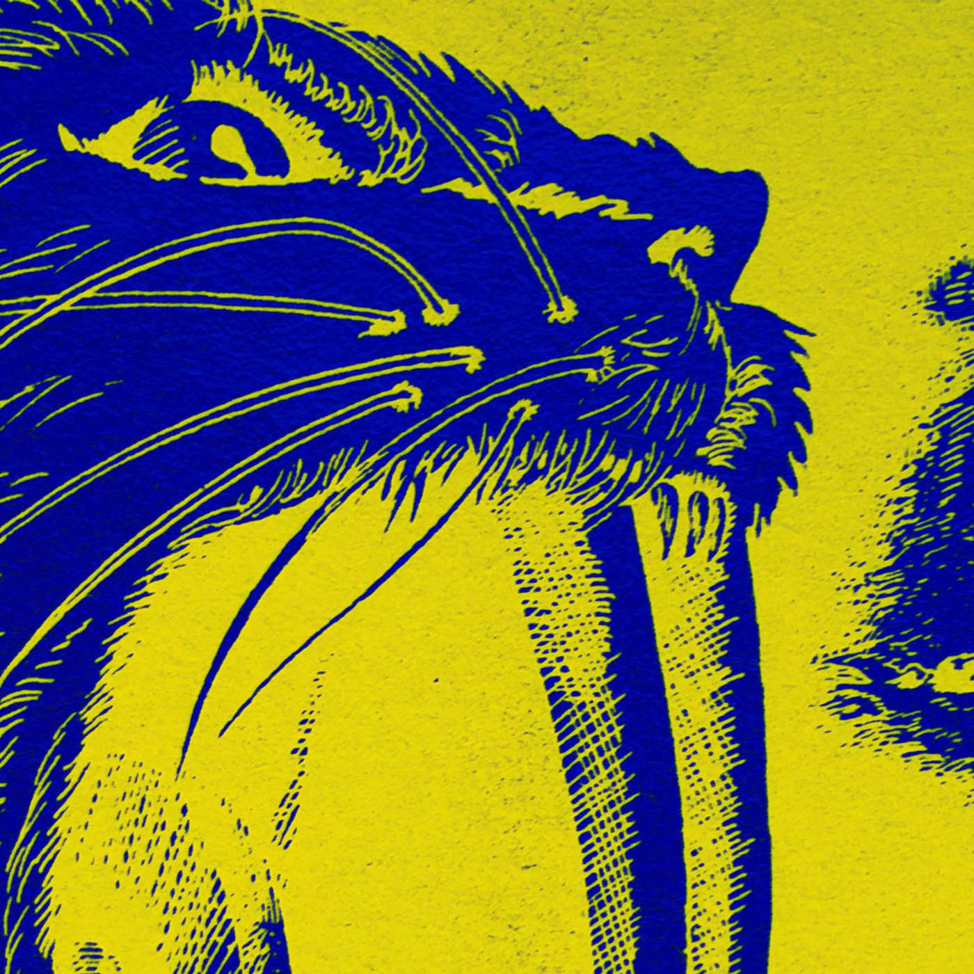 Ep. 22. The Cave of Time: Week Twenty-two A Funtime Podcast