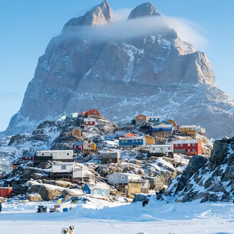 Trump's Arctic of the Deal and The 10 Dumbest Things Said This Week