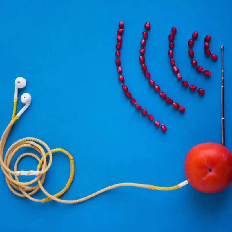 Bons hábitos: podcast em inglês para melhorar o seu vocabulário!