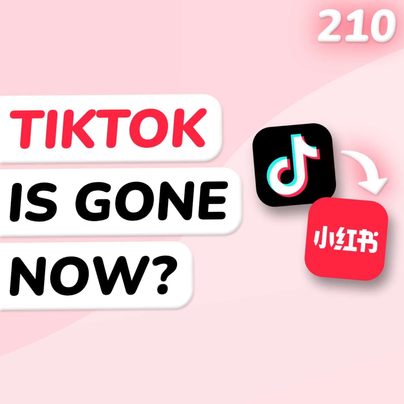 TikTok's uncertain future in the US, criticisms of Session's safety, and tons of political updates