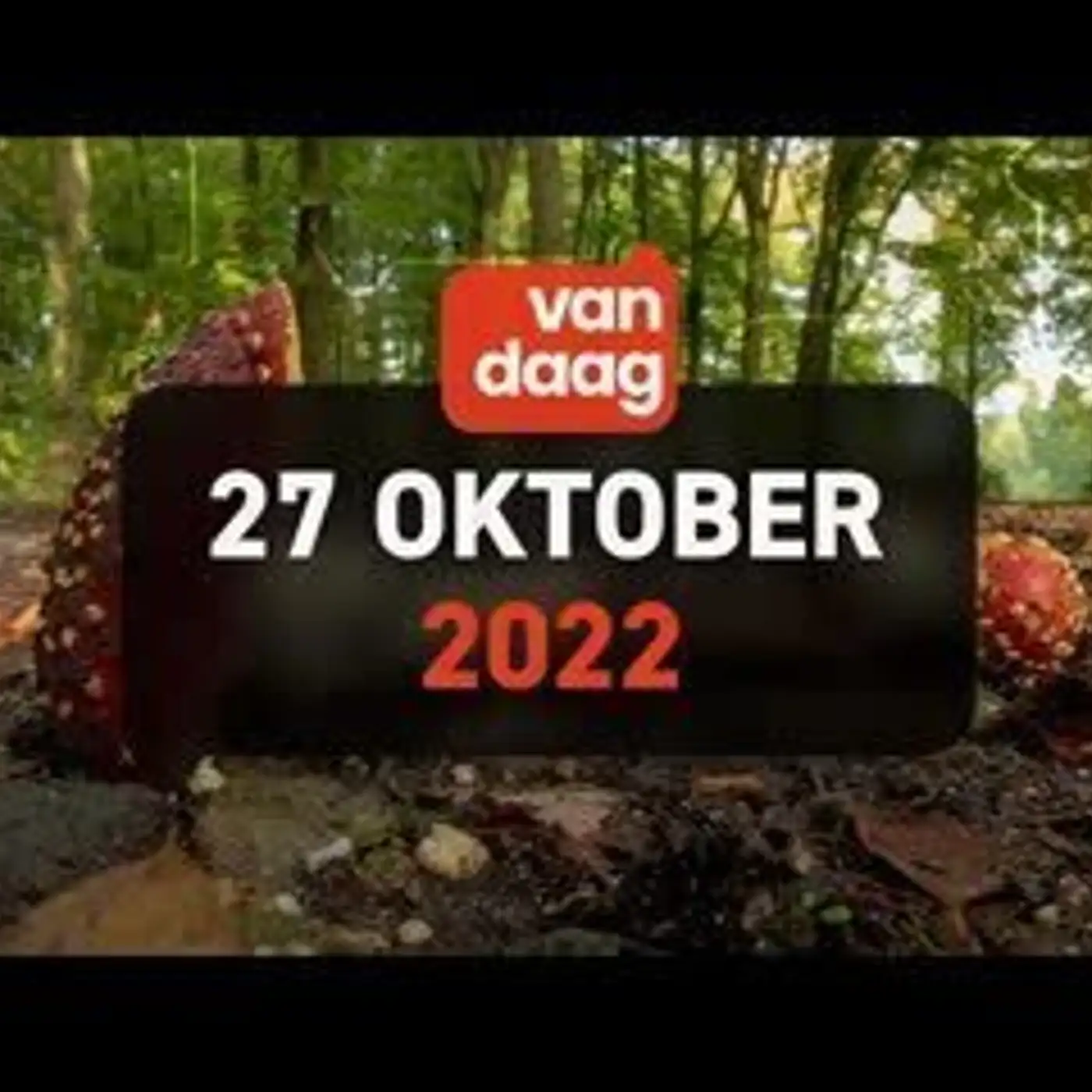 1Twente Vandaag van donderdag 27 oktober 2022