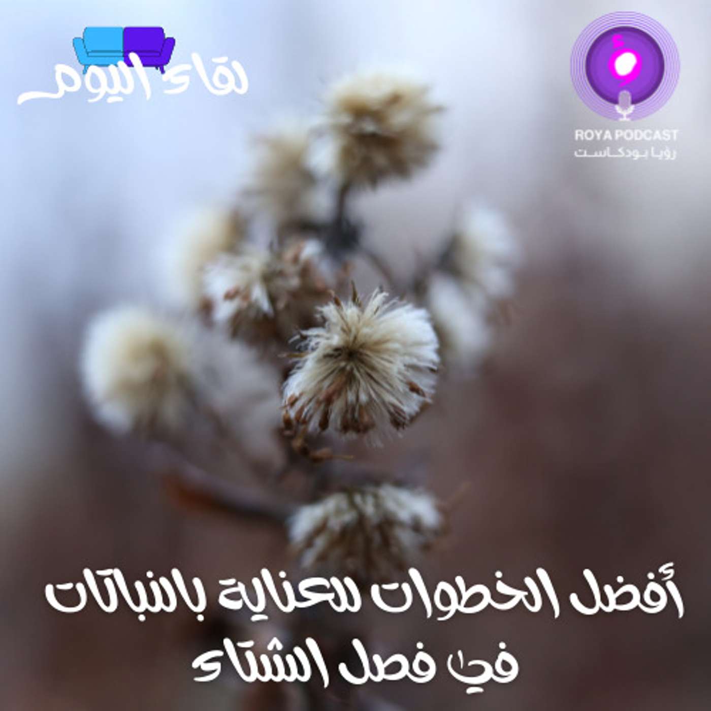 أفضل الخطوات للعناية بالنباتات في فصل الشتاء