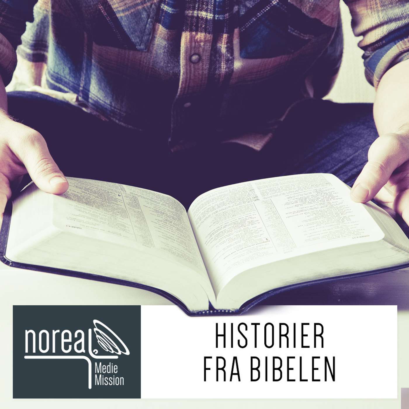 På rejse gennem Bibelen af Tove Christensen