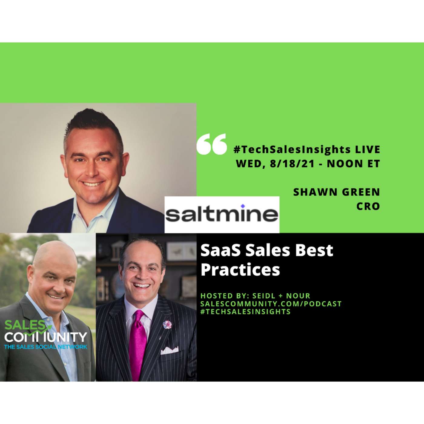 E42 - SaaS Sales Best Practices Shawn Green, Saltmine