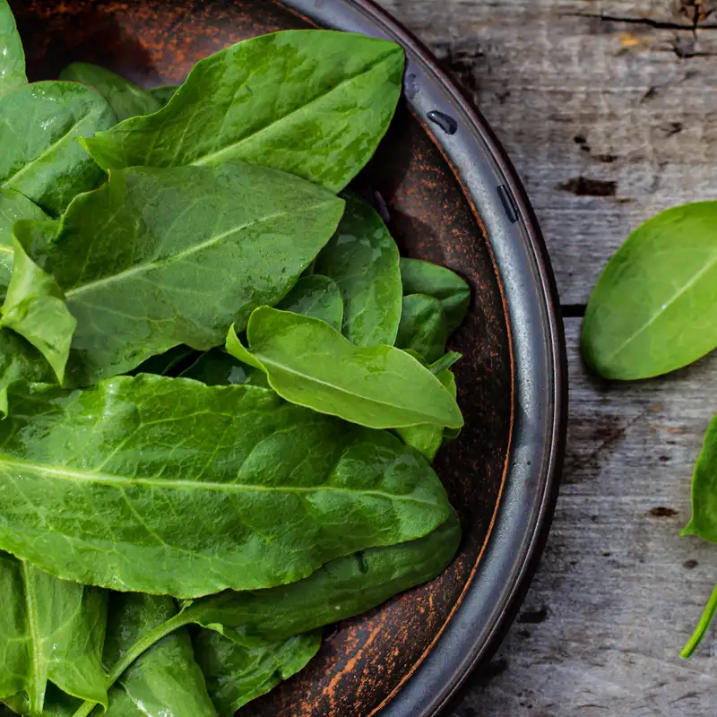 Growing Perennial Vegetables with Ben Caesar