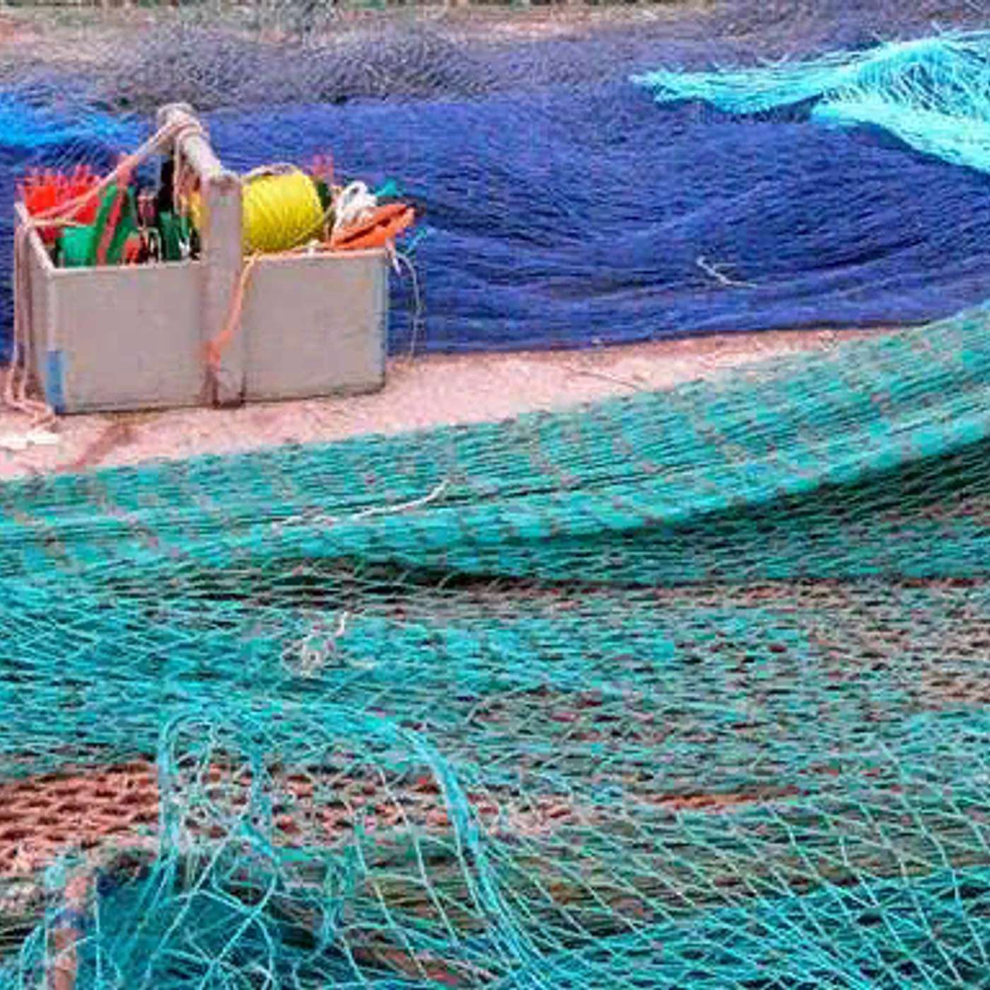 Губернатор Коми попросил у жителей рыболовные сети «на нужды СВО»