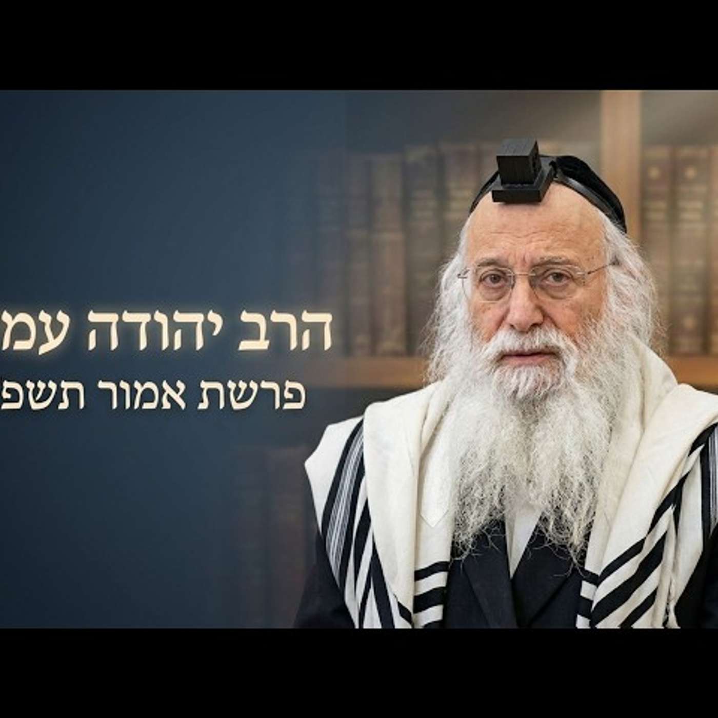 💰 הרב יהודה עמית | פרשת אמור תשפ"ו (2026) | עלונימייל