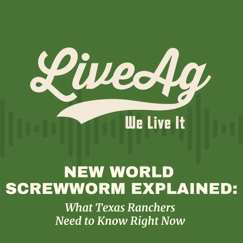 New World Screwworm Explained: What Texas Ranchers Need to Know Right Now | Wayne Cockrell