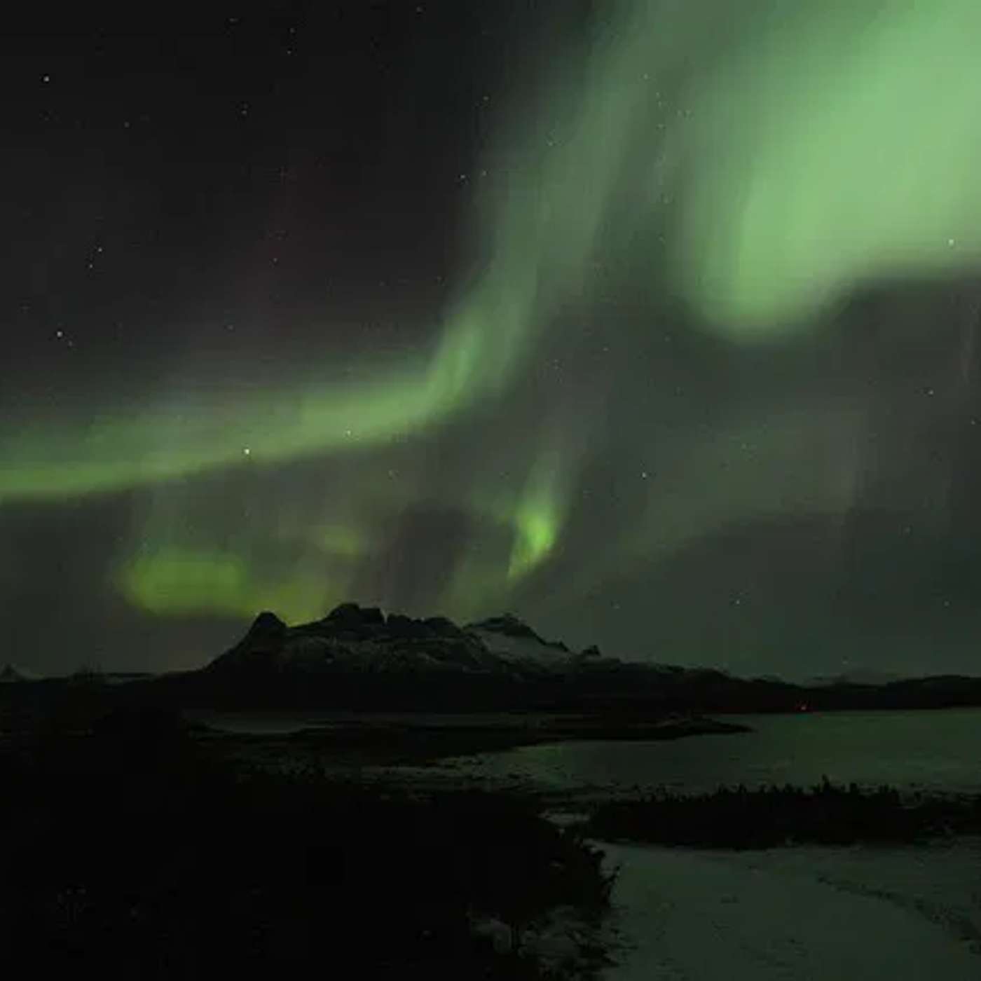 Greenland Glacier Triggers Tsunami, Southern Aurora Borealis Shines, Semaglutide Reduces Health Risks, Metabolomics Enhances Plant Research, and more...