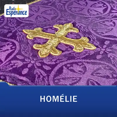 Les homélies des dimanches et jours de fête