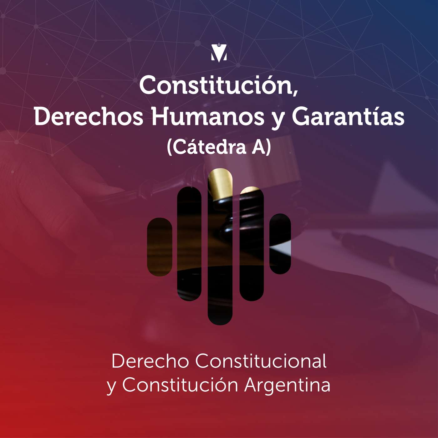8 - CONSTITUCIÓN, DERECHOS HUMANOS Y GARANTÍAS (CÁTEDRA A): Derecho Constitucional y Constitución Argentina episode artwork