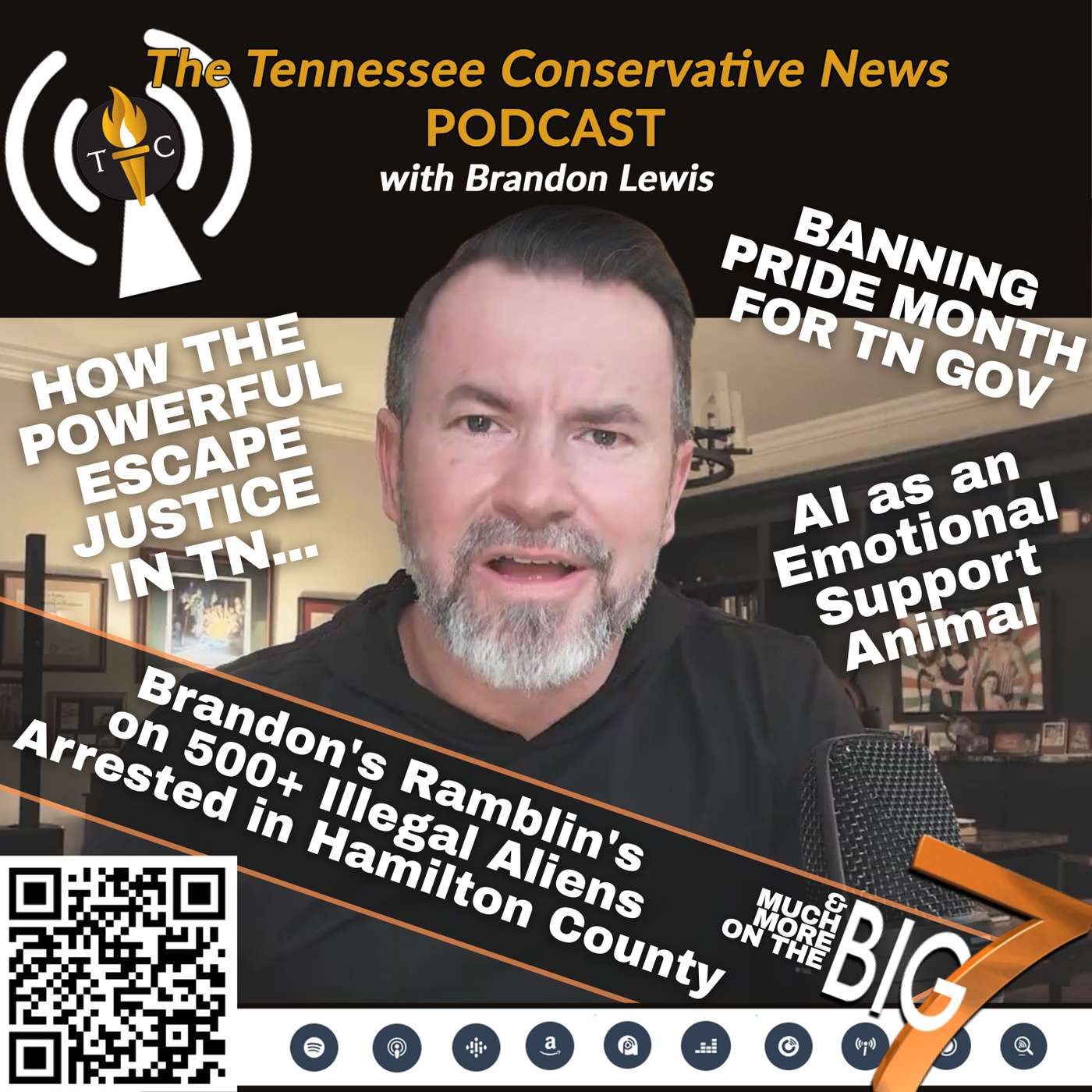 Brandon's Ramblin's on 500+ Illegal Aliens Arrested in Hamilton County....