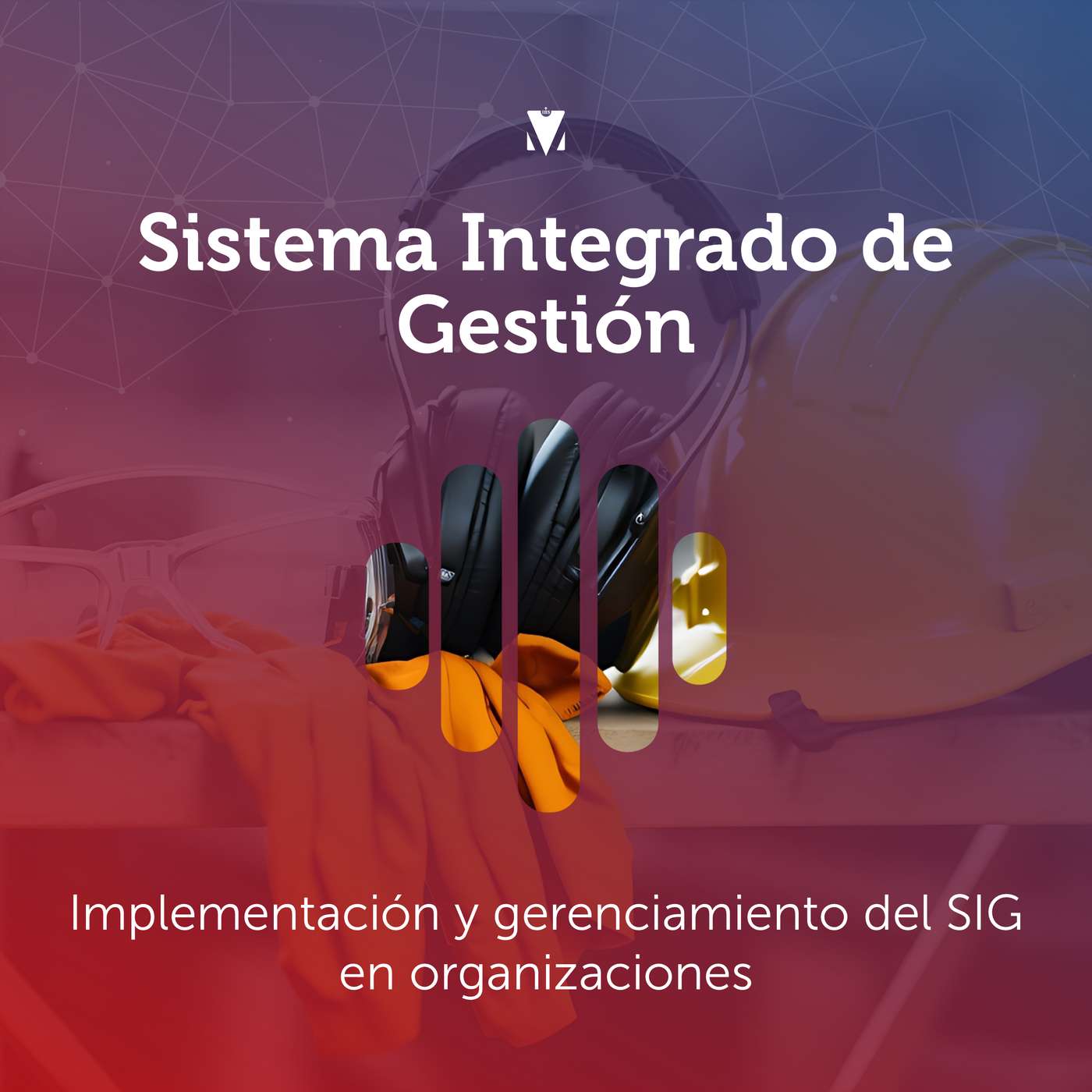 2 - SISTEMA INTEGRADO DE GESTIÓN: Implementación y gerenciamiento del SIG en organizaciones episode artwork