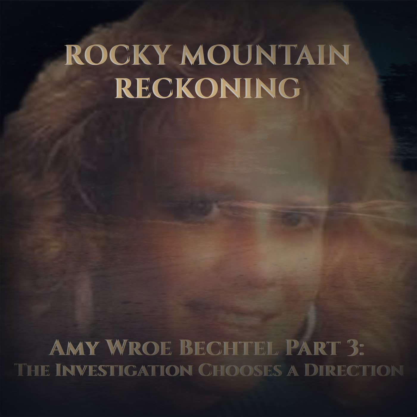 Amy Wroe Bechtel Part 3|The Investigation Chooses a Direction episode artwork