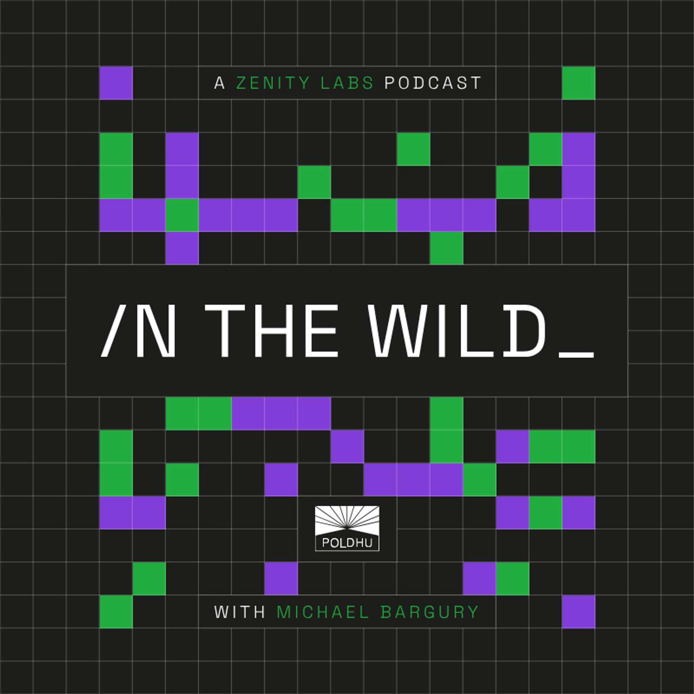In the Wild with Michael Bargury
