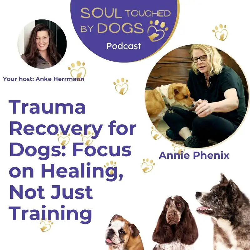 Annie Phenix - Trauma Recovery for Dogs: Focus on Healing, Not Just Training
