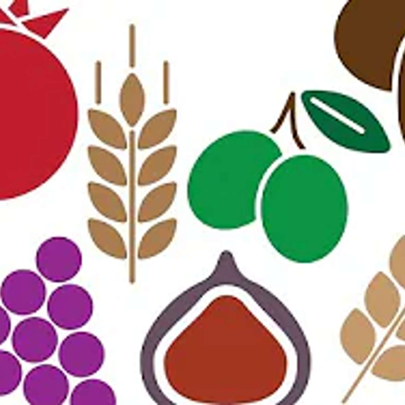 האם יש משמעות לסדר המשנה▪️ הרב נחמנסון ▪️ (כולל הוראה ומשפט)***