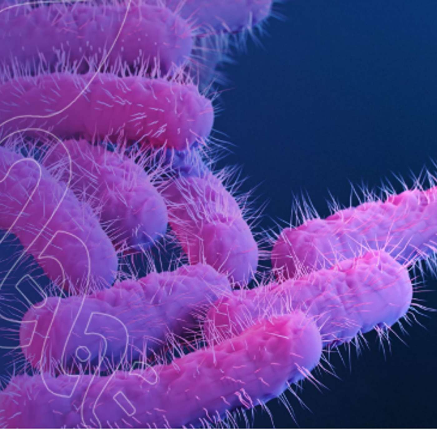 The Worst of the Best Podcast