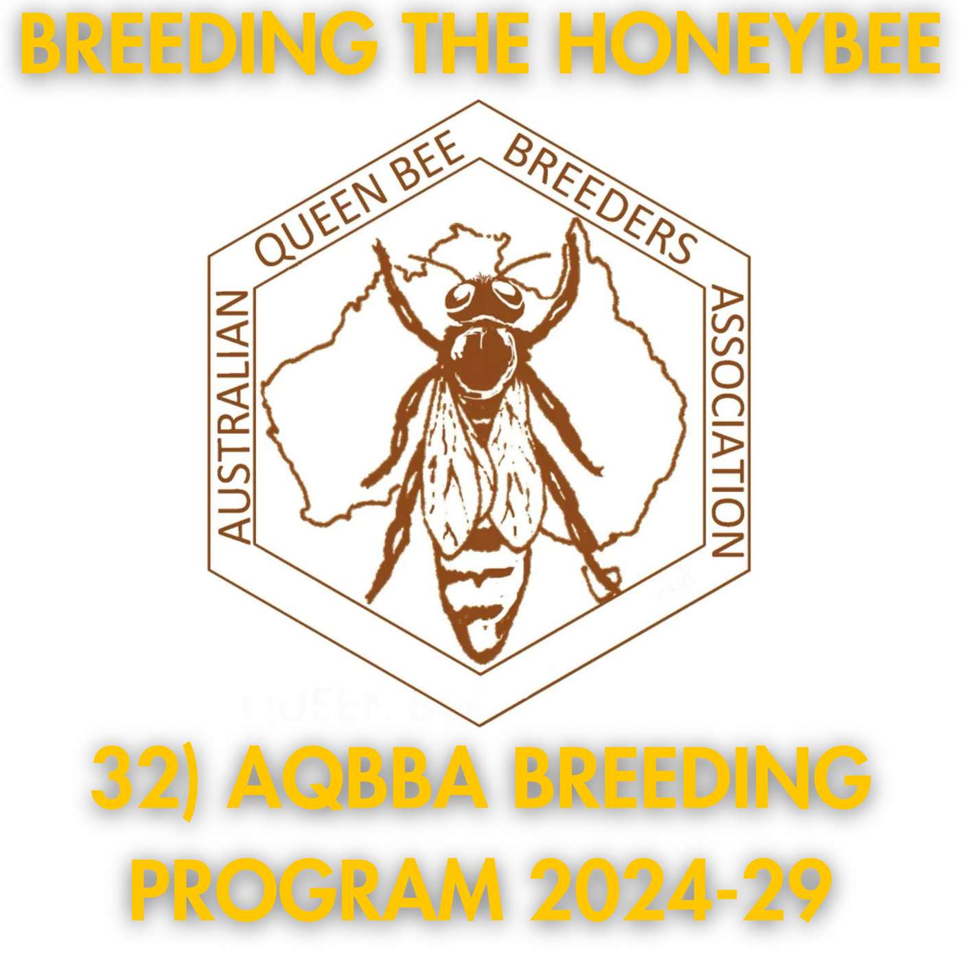 32) AQBBA Breeding Program 2024-29 episode artwork