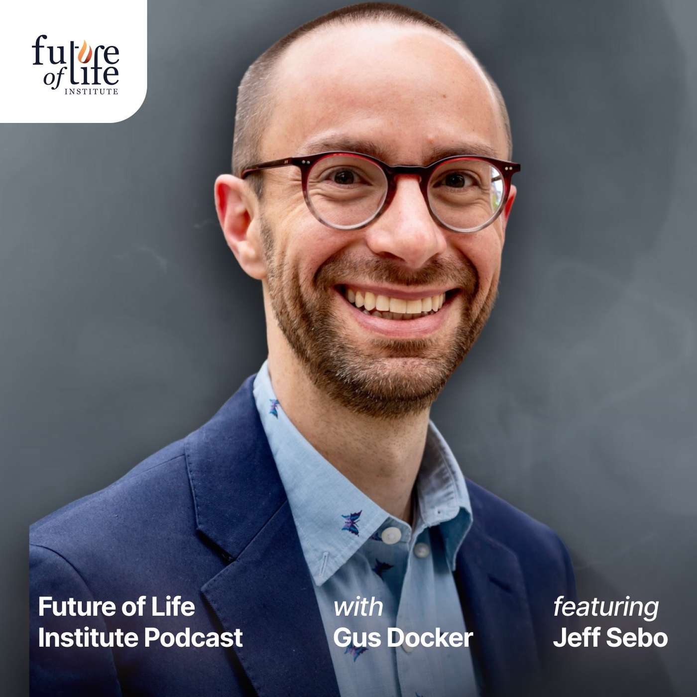 Future of Life Institute Podcast
