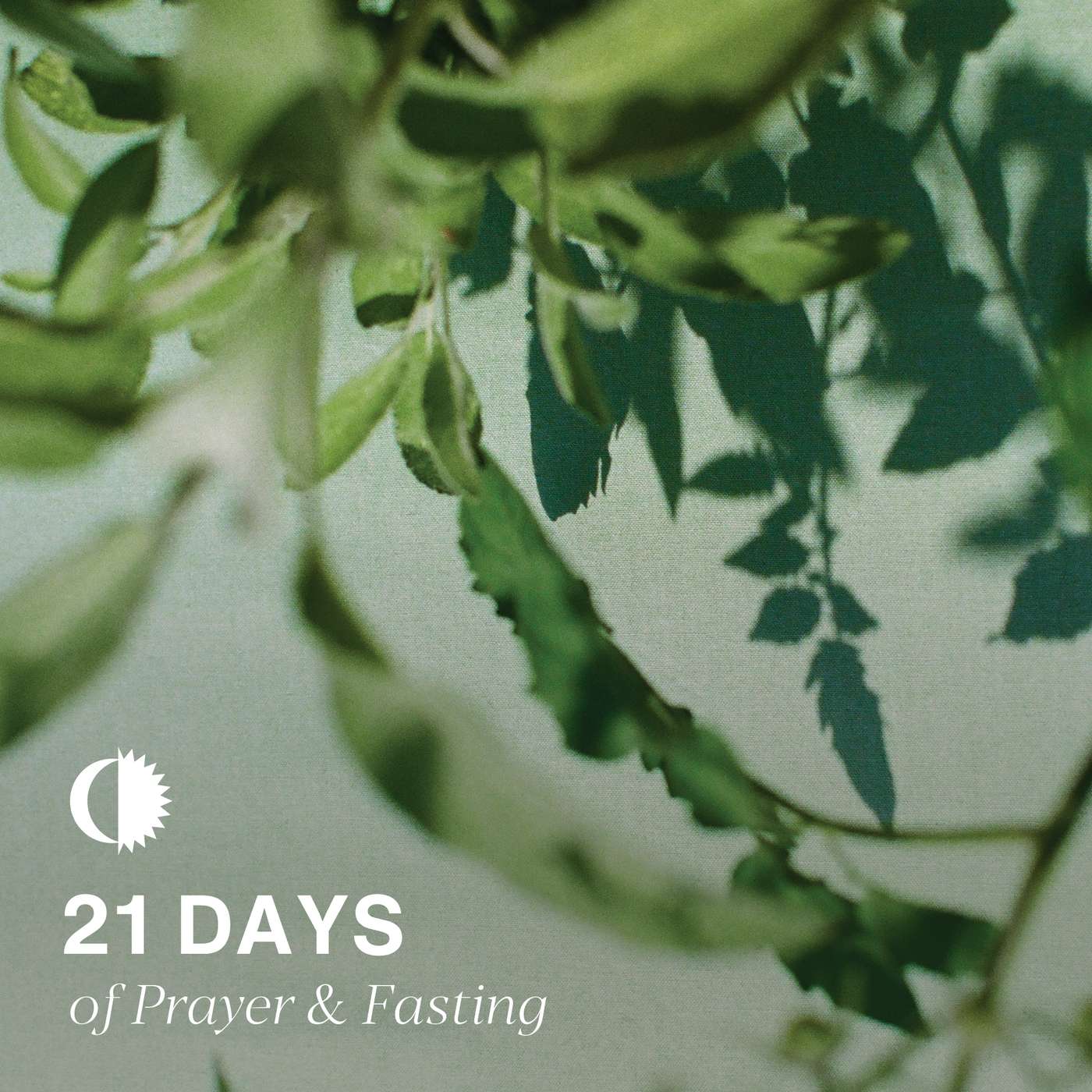 21 Days of Prayer & Fasting | Day 8 - I have made the Lord God my refuge. episode artwork