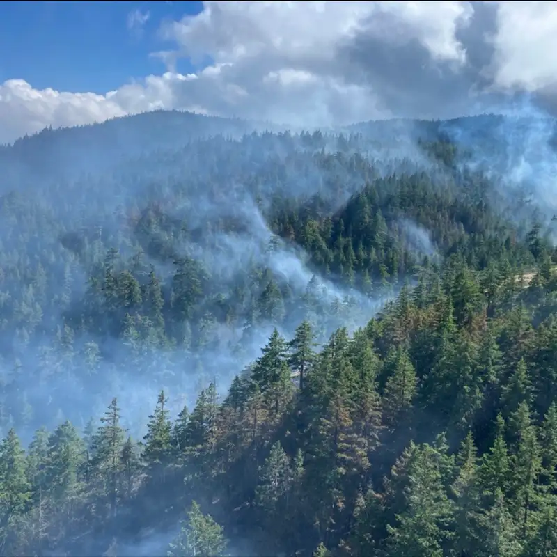 Climate scientist warns warmer and drier conditions on Vancouver Island could lead to more severe wildfires this season