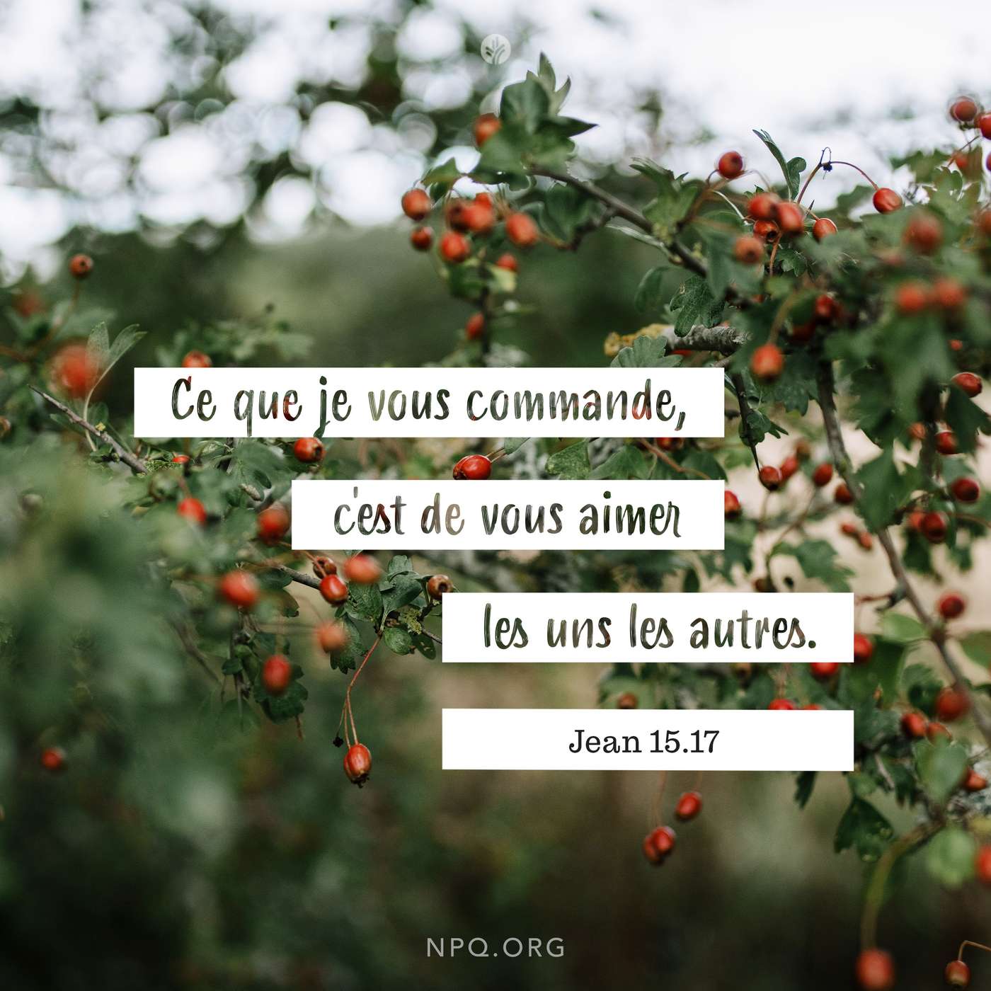 Aimer comme Jésus episode artwork