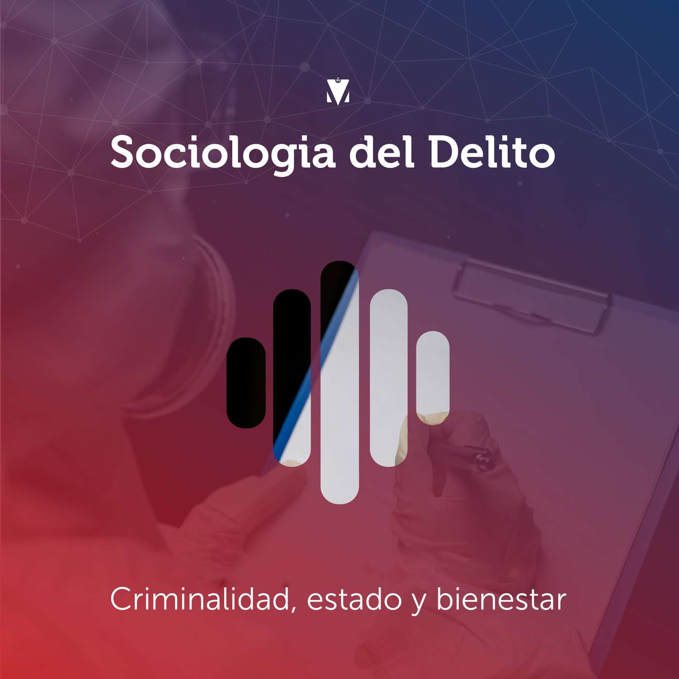 4 - SOCIOLOGIA DEL DELITO: Criminalidad, estado y bienestar episode artwork