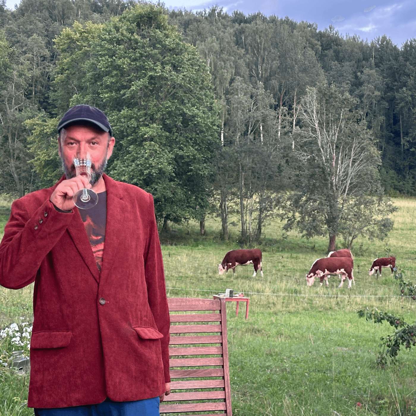 Hommik Rauliga 13.10.26