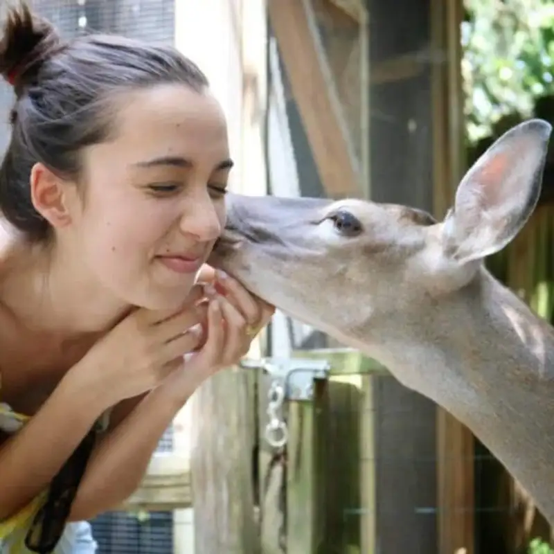 Inglês Nu E Cru Verde - Precisamos falar sobre Branding {Part III} 🌱