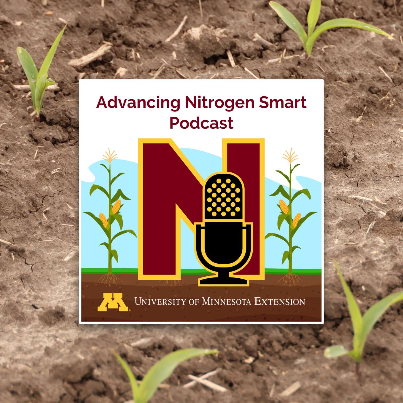 More Maximum Return to Nitrogen (MRTN): How is this N rec calculated? More Maximum Return to Nitrogen (MRTN): How is this N rec calculated?