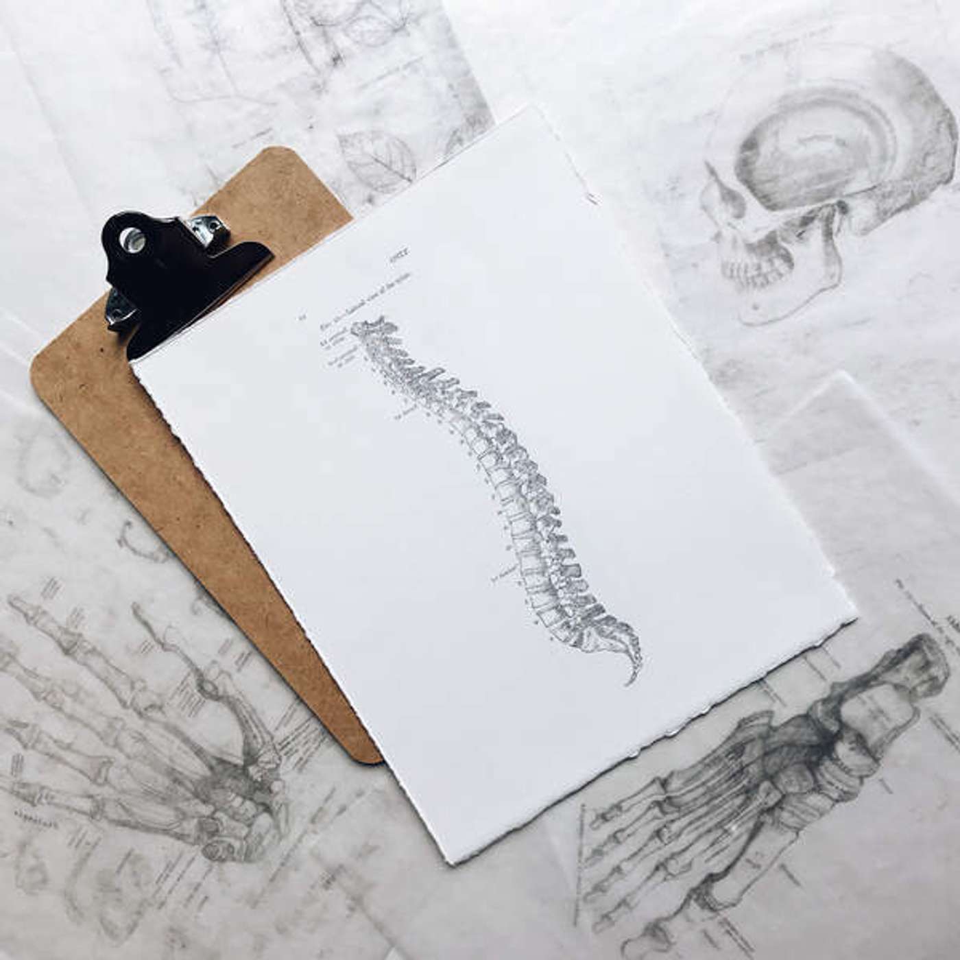 English Expressions: body episode artwork