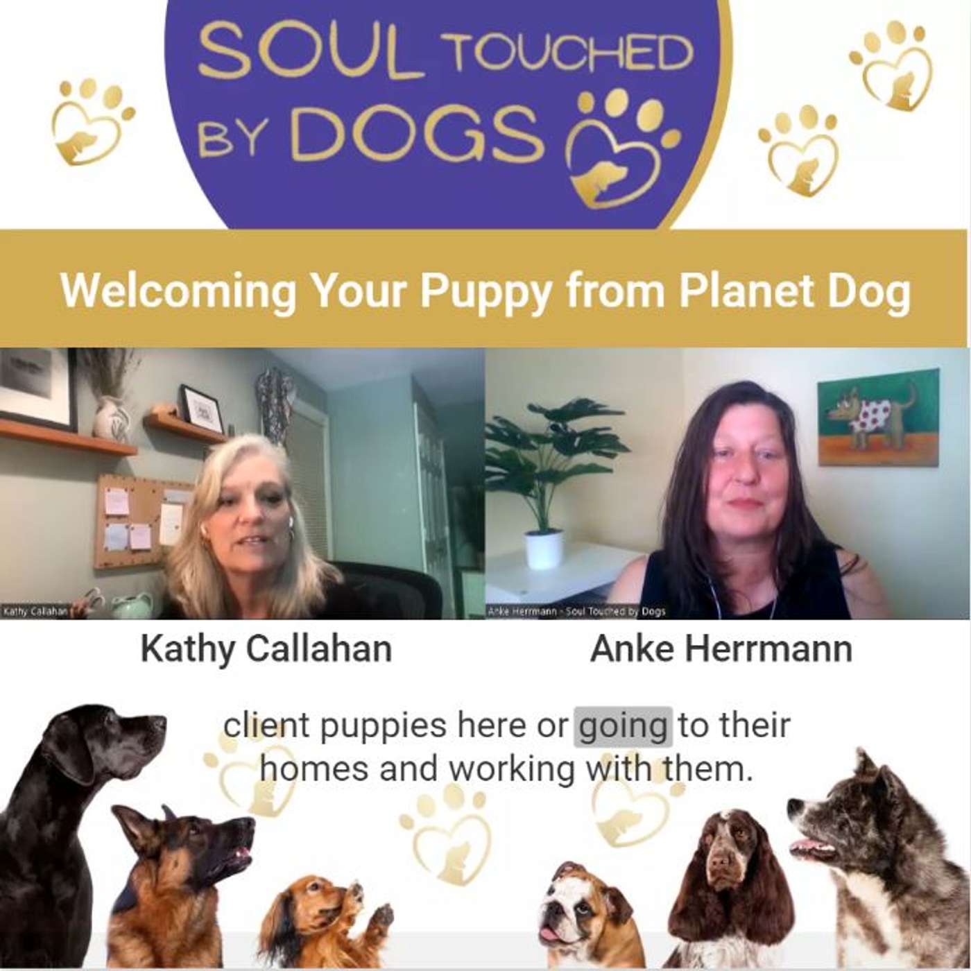 Kathy Callahan - Welcoming Your Puppy from Planet Dog