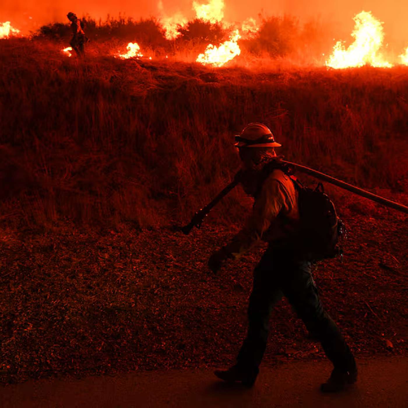 Brain Cell Translation Links Isoforms to Disease, Climate Change Triples Wildfire Threat, Antarctic Core Reveals Ancient Climate, AI Diagnostic Breakthrough for Rare Diseases, and more...