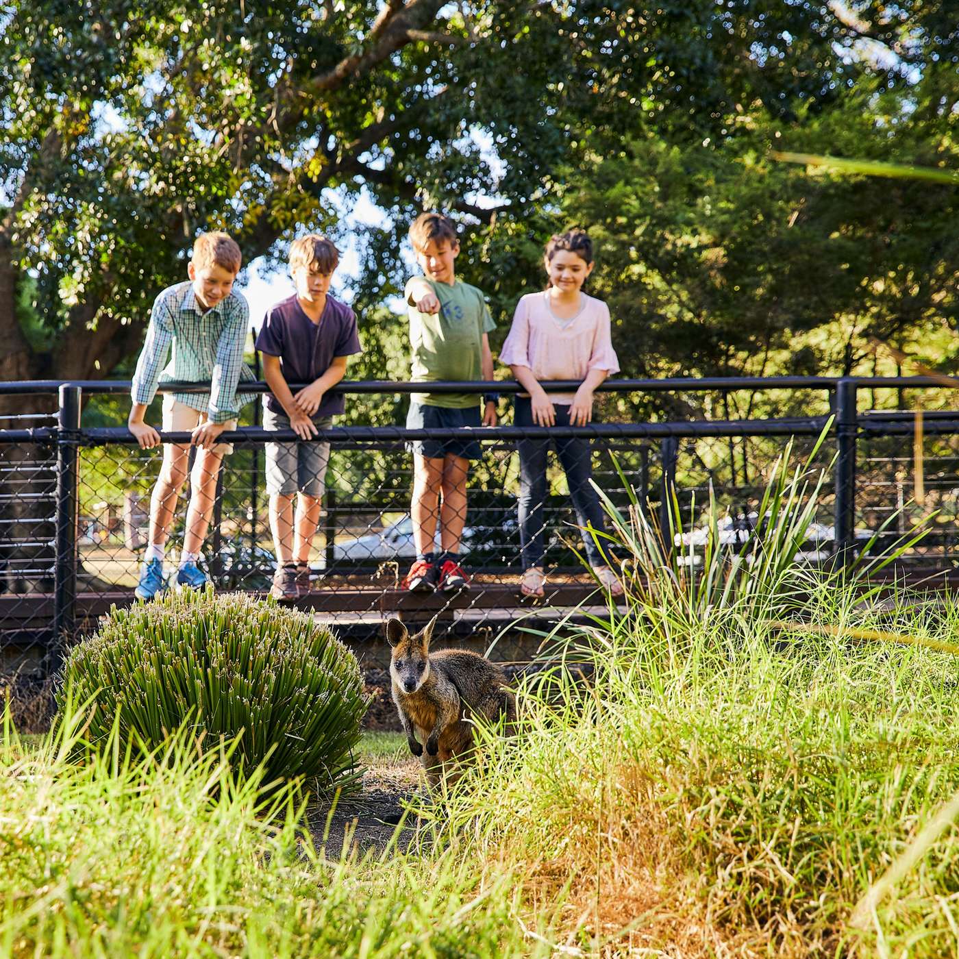 Nature Centre upgrades, extra lanes & signals for Springfield Pkwy, petitioners want pool open in winter