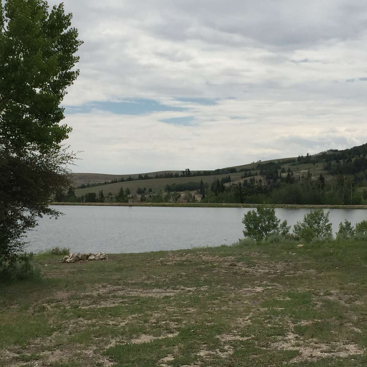 Biz Whip Podcast Show