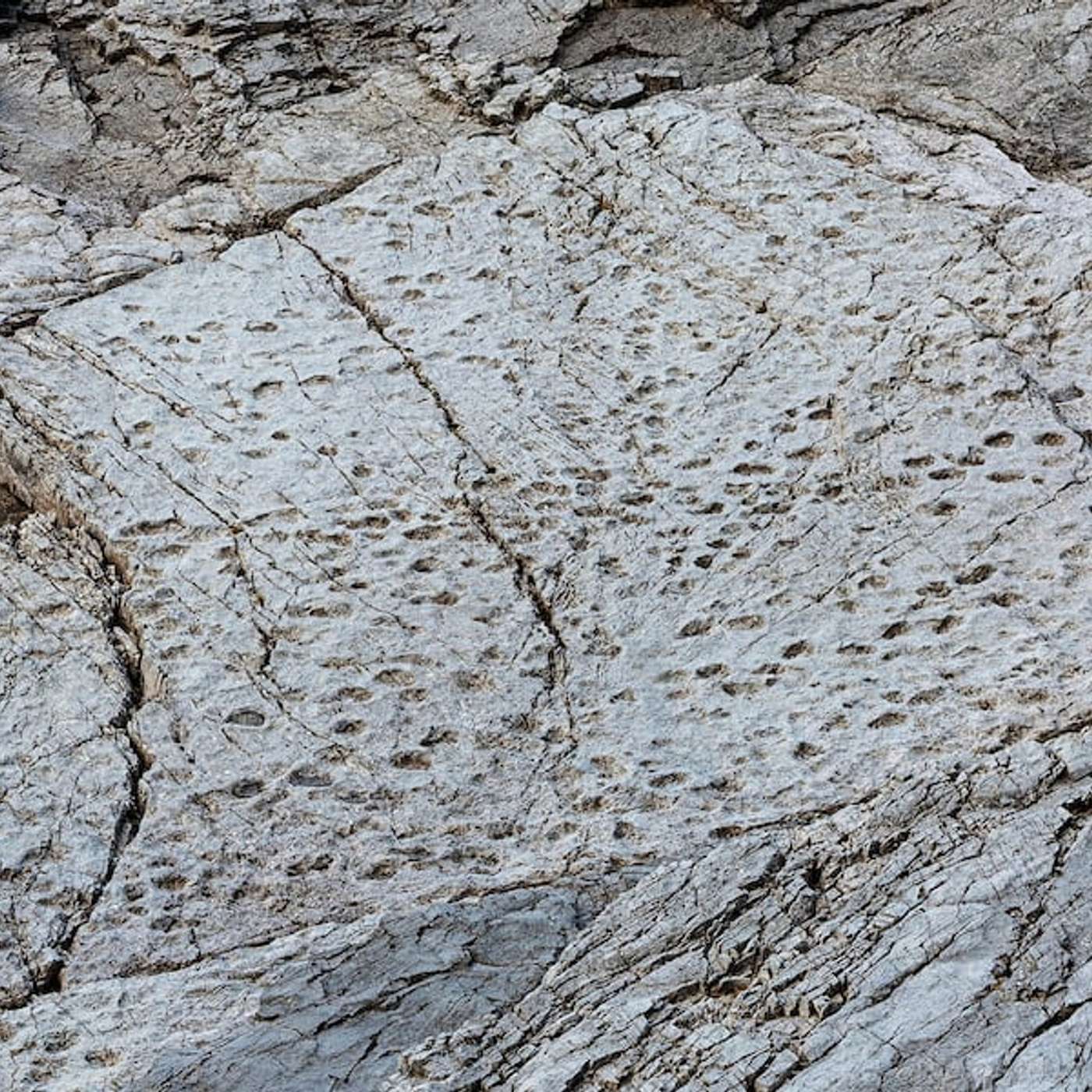 Dinosaur Tracks Promise 2026 Olympics, UK Rejoins Erasmus 2027, Coalition Sues Over EV Funds Freeze, UK Demands Chelsea Sale Funds Go to Ukraine, and more... Dinosaur Tracks Promise 2026 Olympics, UK Rejoins Erasmus 2027, Coalition Sues Over EV Funds Freeze, UK Demands Chelsea Sale Funds Go to Ukraine, and more...