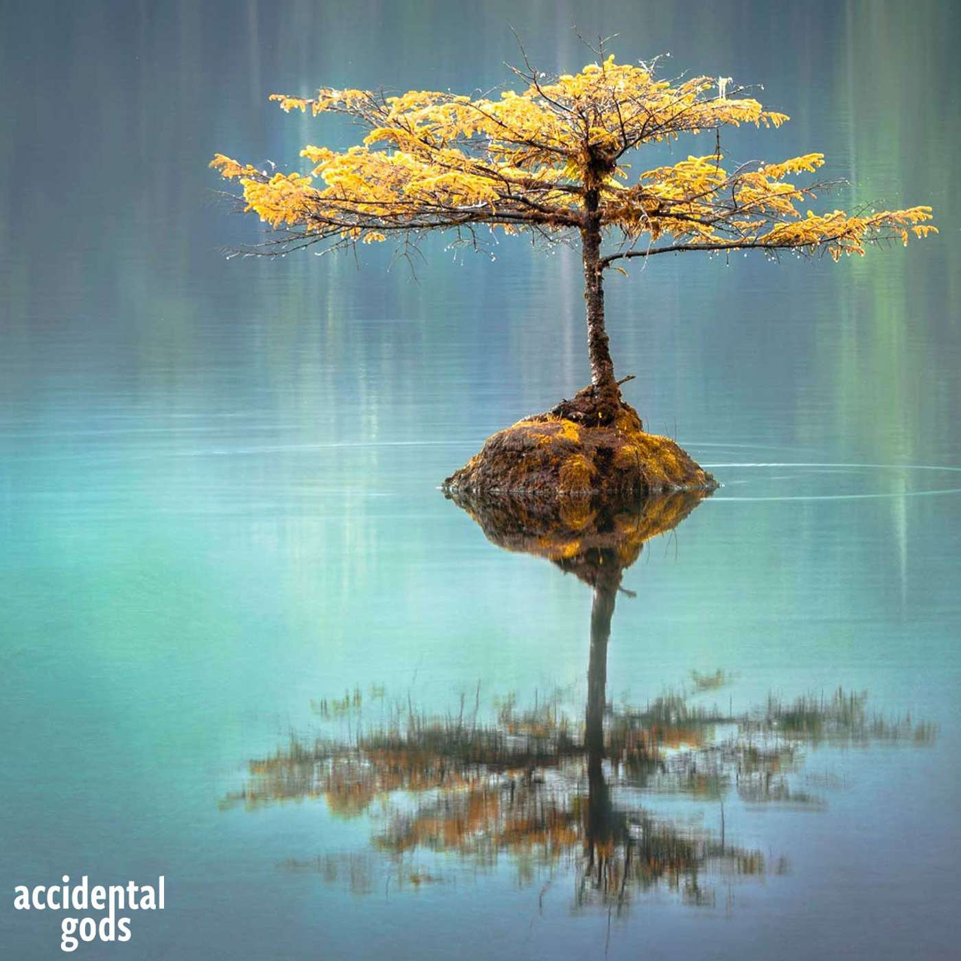 Finding stillness, Finding wholeness: Sharing enquiry with Daniel Thorson of Emerge