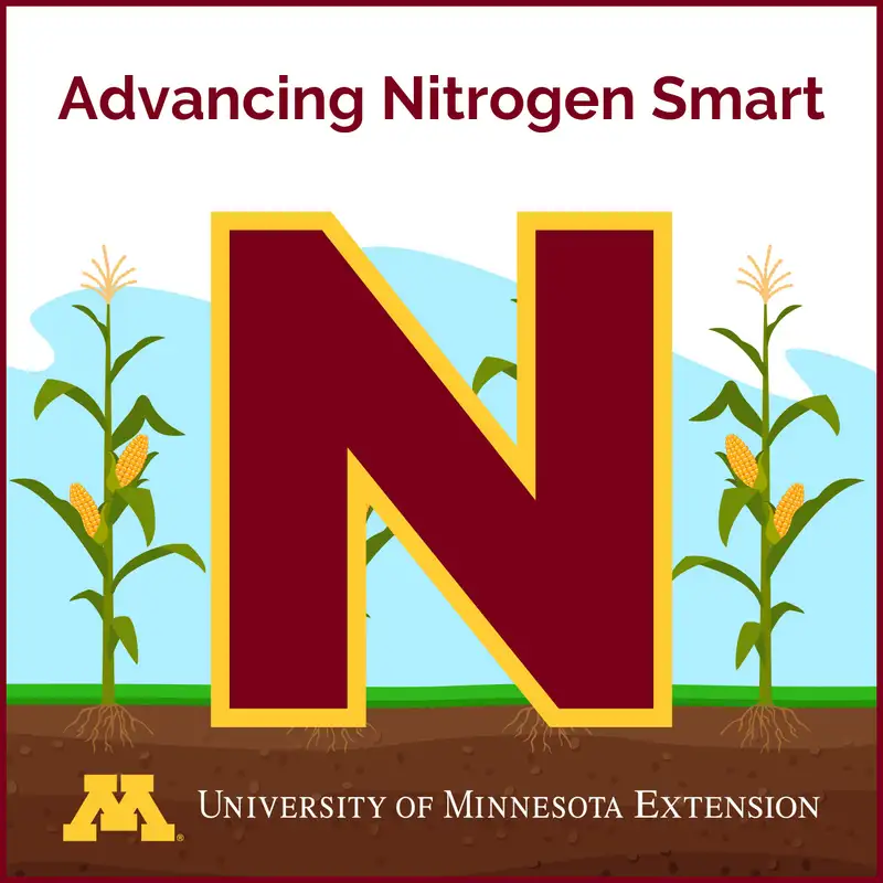 Nitrogen placement: What Minnesota farmers should know about depth, incorporation, loss pathways, and more