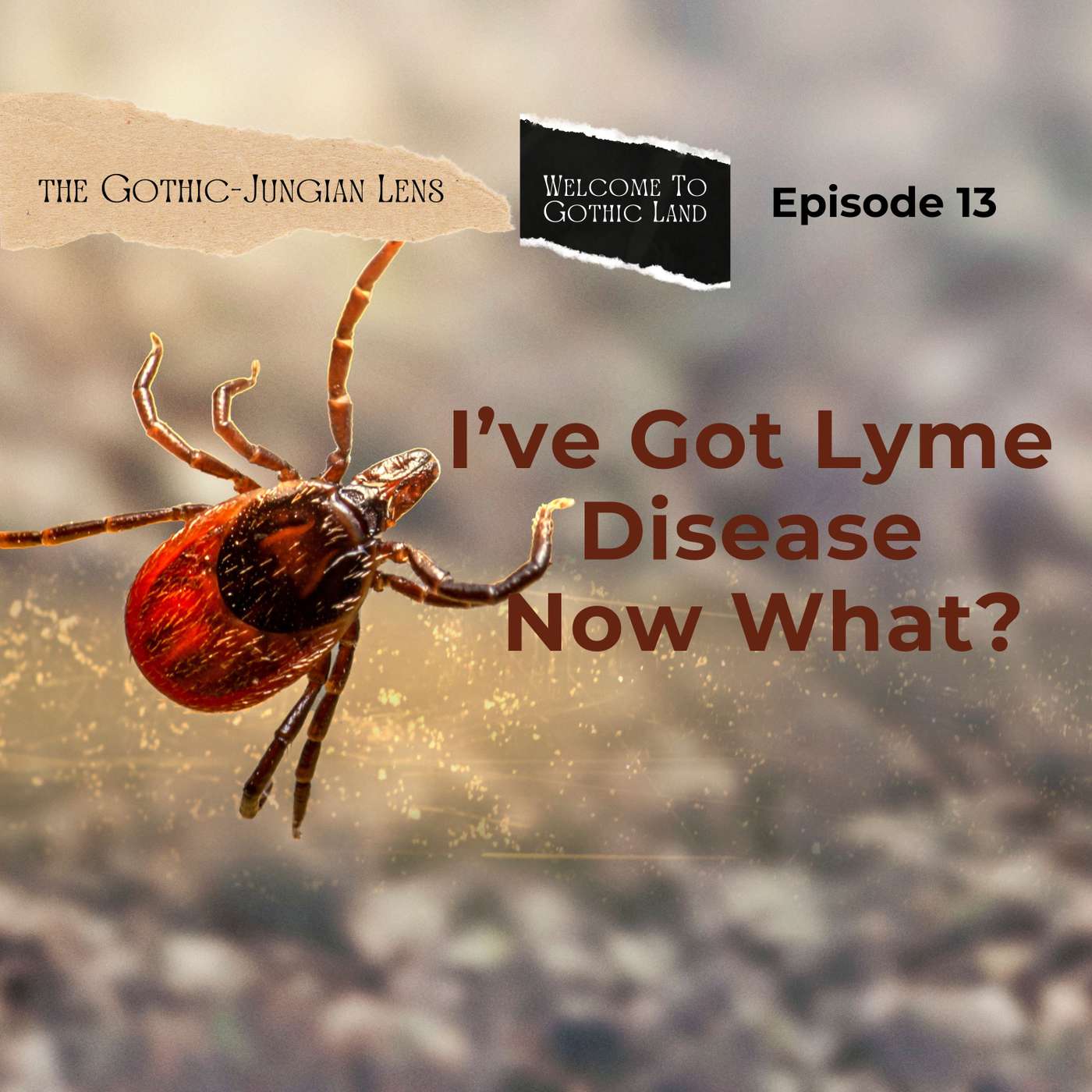 I’ve got Lyme Disease – now what? - Welcome to Gothic Land #13