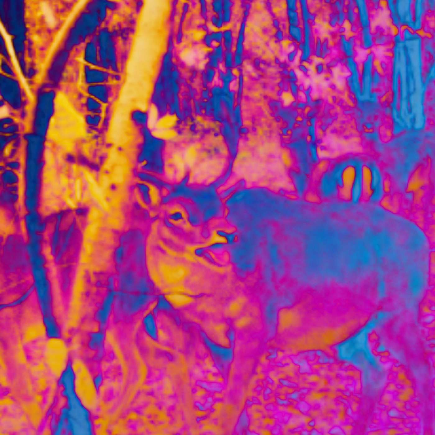 Ep. 221. Creeptobscare ’22: Could You Be a Deer with Ty!