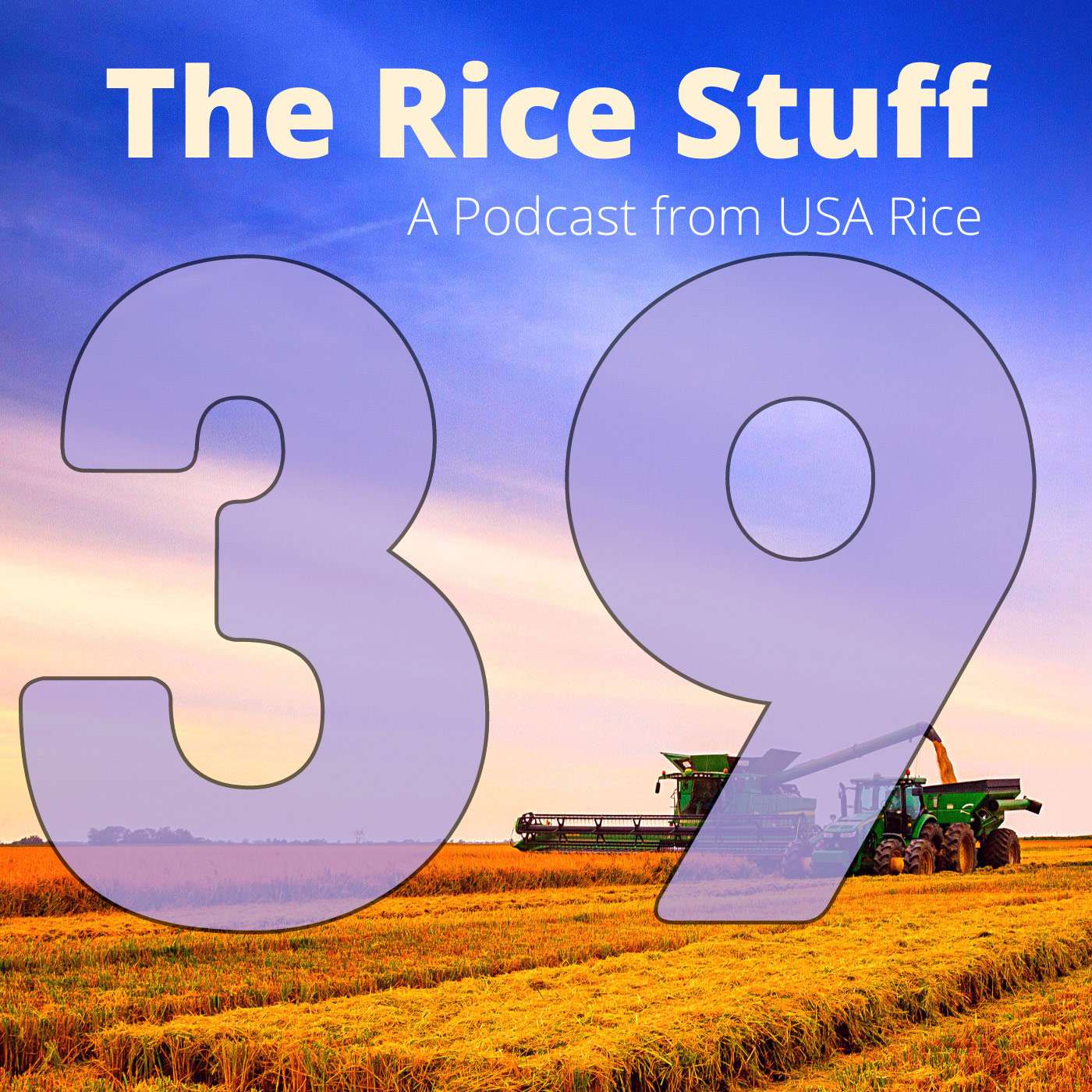 The Rice Stuff