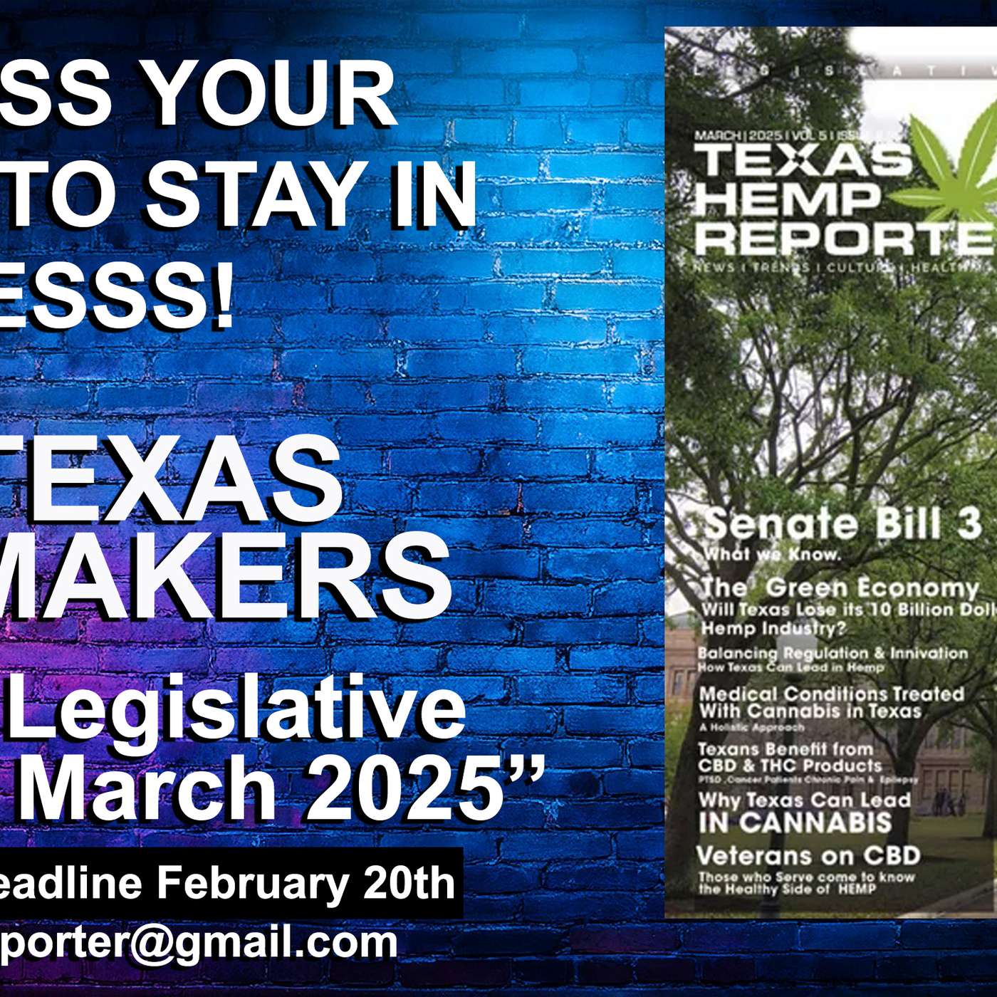Ep. # 204 TX Hemp Biz Council Mark Bordus episode artwork