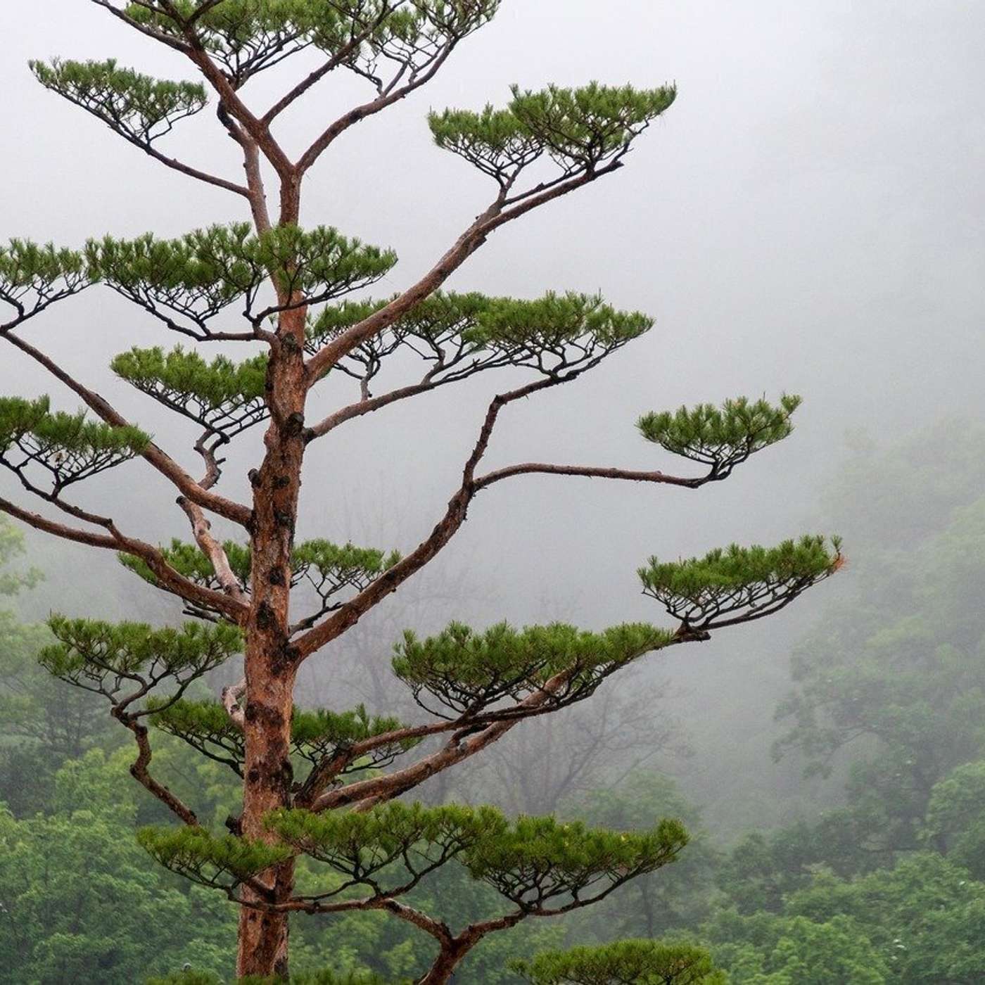 Nature and Science 4 Kids