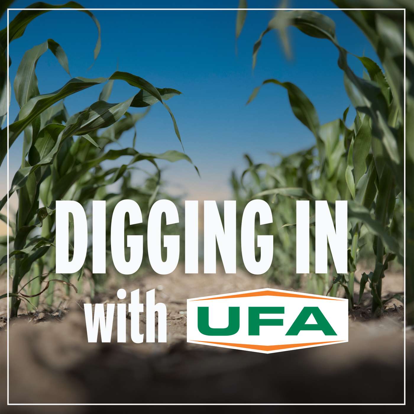 Digging In with UFA