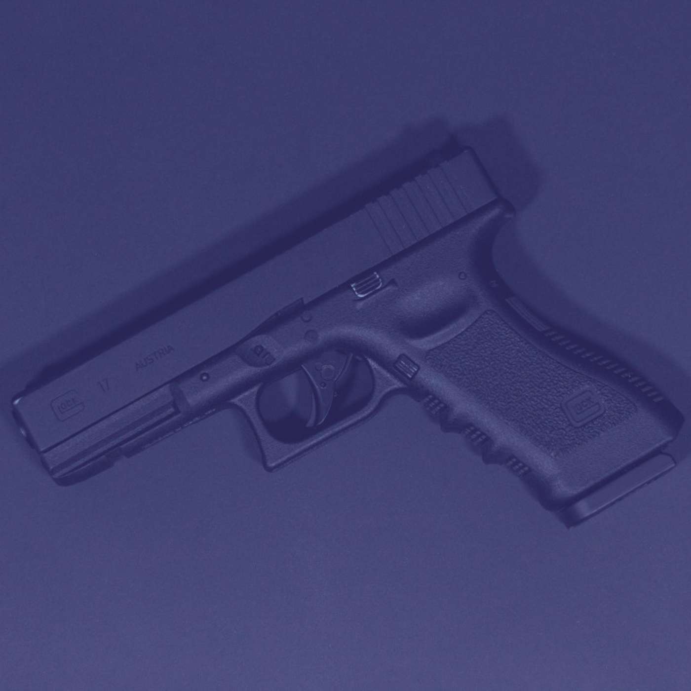 #190: The National Rifle Association