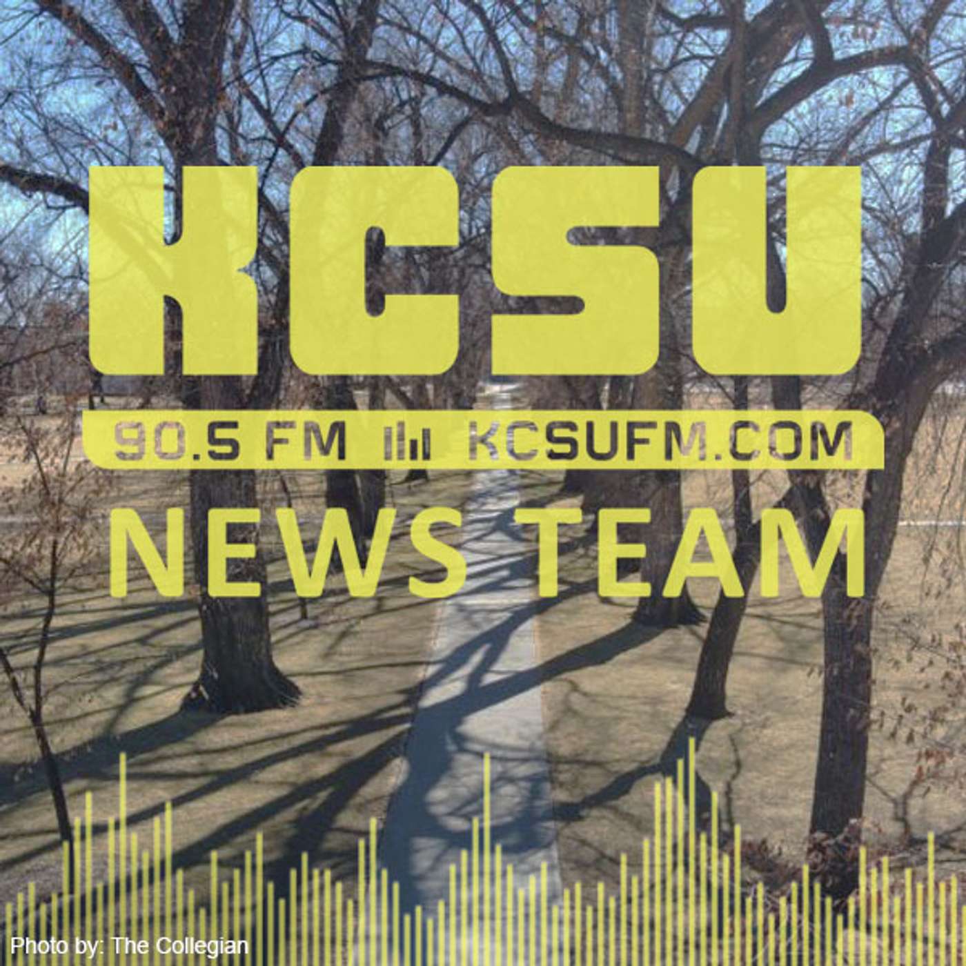 Man shot near CSU Oval, Larimer County child predator sting, dog sickness uptick episode artwork