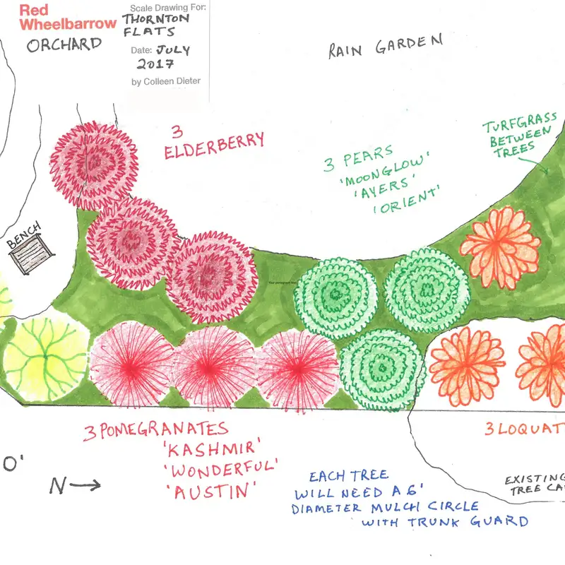 Fruit Tree Garden Design with Colleen Dieter